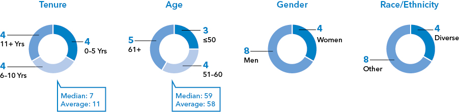 [MISSING IMAGE: tm2132245d1-pc_diversitypn.jpg]